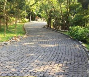 eine Kopfsteinpflasterstraße mit Bäumen auf beiden Seiten in der Unterkunft Ninh Binh Brother's Homestay in Ninh Bình