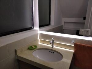 萬卡約的住宿－Estudio Industrial，浴室水槽和绿色苹果