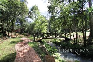 uma ponte de madeira sobre um riacho numa floresta em L'esperienza - Pousada Butique - Ecoturismo em Nova Petrópolis