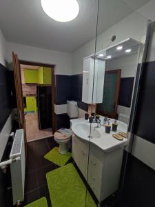 ein Badezimmer mit einem Waschbecken, einem WC und einem Spiegel in der Unterkunft Torok Adrian Mihail PFA in Râșnov