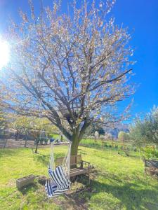 Φωτογραφία από το άλμπουμ του Il Giardino dei Ciliegi σε Colico +34 φωτογραφίες