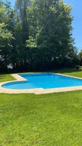 a large blue swimming pool in a grass field at Casa das Camélias in Guimarães
