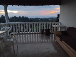 a cat sitting on a balcony looking out at the sunset at Casa de campo Jade, Rionegro in Rionegro