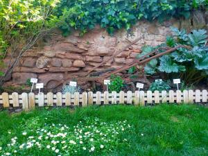 Vonkajšia záhrada v ubytovaní Loft & Garden