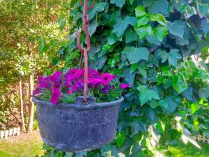 Vonkajšia záhrada v ubytovaní Loft & Garden