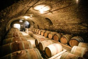 Fotografia z galérie ubytovania NaturalMente Wine Resort v destinácii Agliano Terme