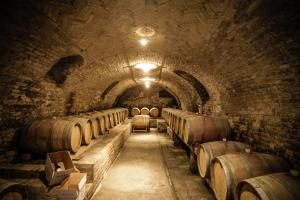 Fotografia z galérie ubytovania NaturalMente Wine Resort v destinácii Agliano Terme