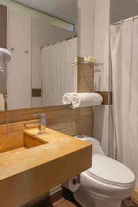 a bathroom with a sink and a toilet and a mirror at Hotel Viaggio 617 in Bogotá