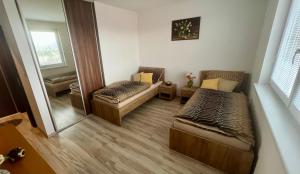 ボイニツェにあるApartman De lux 85m2の小さな部屋で、ベッド2台、鏡が備わります。