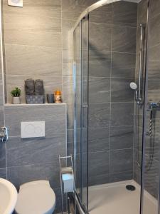 a bathroom with a shower and a toilet and a sink at A Comfortable and Modern Newly Renovated Apartment in Mannheim