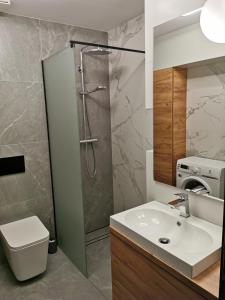 een badkamer met een douche, een toilet en een wastafel bij Apartament nr 2 w Starym Nadleśnictwie in Kościerzyna