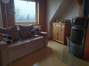 ein Wohnzimmer mit einem Sofa und einem TV in der Unterkunft Die gemütliche Ferienwohnung für jedermann! in Oppach