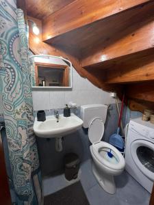 a bathroom with a toilet and a sink at Dameli in Sykaminéa