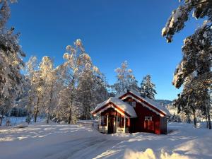 a cabin in the snow with snow covered trees at Lie Hytteutleige -Gjestegård - Thor Fine Art 3 hytte enheter in Åmdals Verk