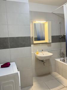 Corvin Rose Apartment Hotel في بودابست: حمام مع حوض ومرحاض ومرآة