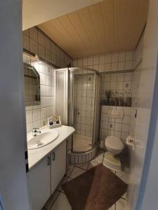 a bathroom with a sink and a toilet and a shower at FeWo Westwind in Fehmarn