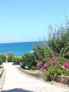 聖馬丁島的住宿－Happy Residence - Orient Beach 11，一条有鲜花和海洋的小路