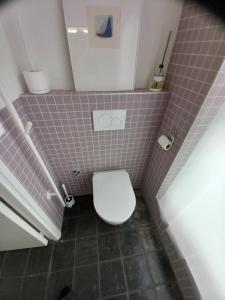 a small bathroom with a toilet with purple tiles at TIJ Tiny house aan het getijdewater in Zierikzee in Zierikzee