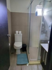 a bathroom with a toilet and a shower at Condo Playa Hermosa, Puntarenas in Muñeco