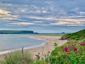 a beach with pink flowers and the ocean at Charming 2-Bed Cottage in Wadebridge Cornwall in Wadebridge