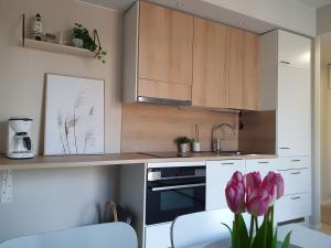 Η κουζίνα ή μικρή κουζίνα στο Uusi lomahuoneisto Golf Hiekkasärkät