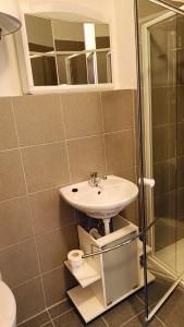 y baño con lavabo y ducha. en Apartmány Javorník, en Javorník