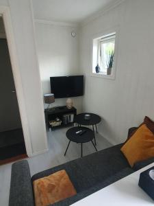 Small and cute apartment in city center في ترومسو: غرفة معيشة مع أريكة وتلفزيون