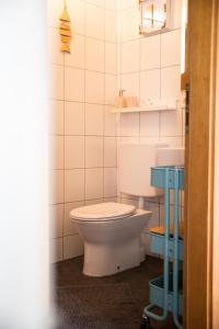 y baño con aseo y lavamanos. en Ferienwohnung am Sonnenberg, en Busingen am Hochrhein