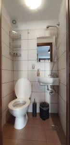ein Badezimmer mit einem weißen WC und einem Waschbecken in der Unterkunft San Lorenzo Cottage - Παραδοσιακά Πέτρινα Δωμάτια in Agios Lavrentios