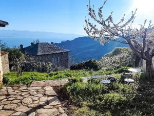 einen Steinweg, der zu einem Haus mit einem Baum führt in der Unterkunft San Lorenzo Cottage - Παραδοσιακά Πέτρινα Δωμάτια in Agios Lavrentios