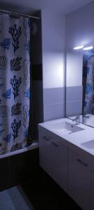 a bathroom with a sink and a shower curtain at Grand appartement 2 chambres avec terrasse in Bordeaux