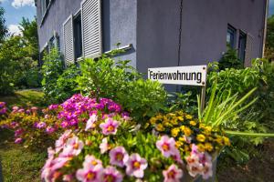 Zahrada ubytování Ferienwohnung Gesien