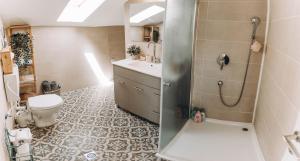 a bathroom with a shower and a toilet and a sink at קרן אור בגליל העליון in ‘Amir