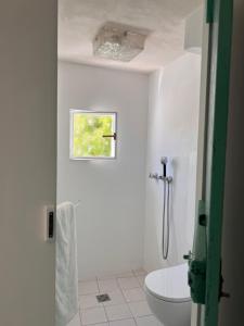 a white bathroom with a toilet and a window at Villa Eletta, Capri in Capri +23 photos