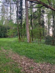 Zdjęcie z galerii obiektu Suite privée rose au Château de la Franceule w mieście Janzé