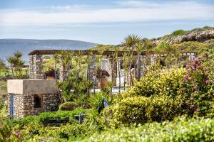 Gambar di galeri bagi Sea Life House di Parikia +54 gambar