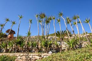 Gambar di galeri bagi Sea Life House di Parikia
