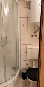 La salle de bains est pourvue de toilettes et d'une douche en verre. dans l'établissement The Nook Apartment, à Zagreb