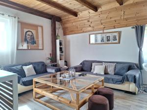 a living room with a blue couch and a table at Stay Wild in Žabljak