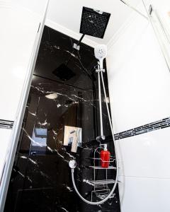 a glass shower with a fire extinguisher in a bathroom at 866 Plagwitz Apartment (Kulturviertel) in Leipzig