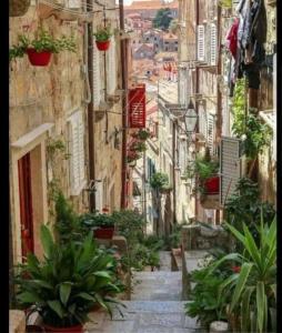 Okolí apartmánu + 11 fotografií