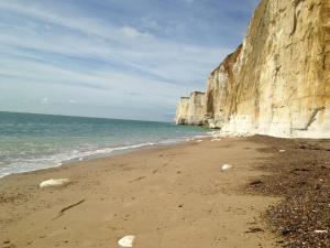 a sandy beach with cliffs and the ocean at Apple tree House in Saltdean