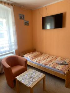 1 dormitorio con 1 cama, 1 silla y TV en Penzion Sport, en Gaming