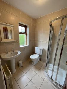 y baño con aseo, lavabo y ducha. en Taylors Hill Luxury Guest House, en Galway