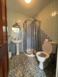 a bathroom with a toilet and a shower and a sink at Taylors Hill Luxury Guest House in Galway