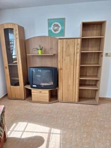 a living room with a tv and shelves at Chalupa u Šobrů in Kout na Šumavě