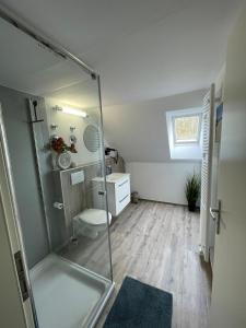 a bathroom with a glass shower and a toilet at Deichblick-Carolienensiel in Carolinensiel
