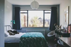 um quarto com uma cama com um cão deitado sobre ela em Architect designed spacious five bed house by sea em Seasalter