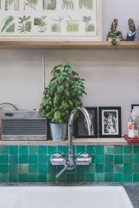 a kitchen sink with a faucet and a plant at Architect designed spacious five bed house by sea in Seasalter