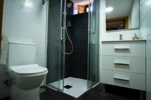 La salle de bains est pourvue de toilettes et d'une douche en verre. dans l'établissement A Casiña dos Canastros, 